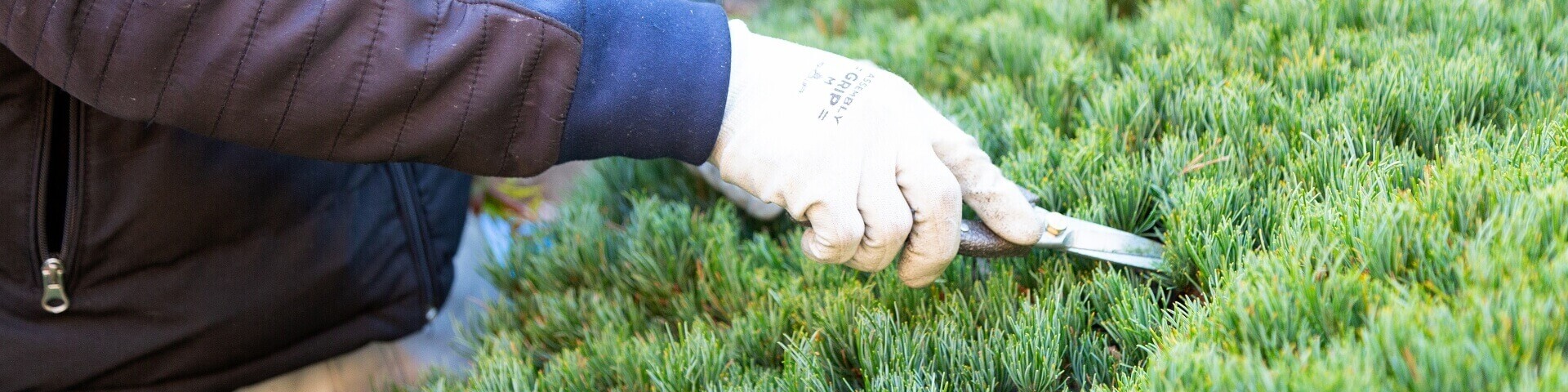 中尾造園の想い