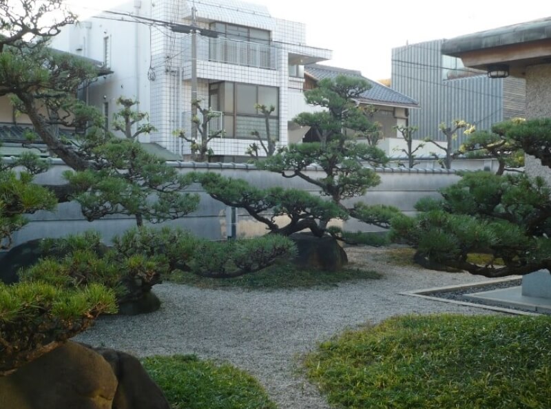 庭文化を未来へ継承