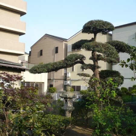 庭園