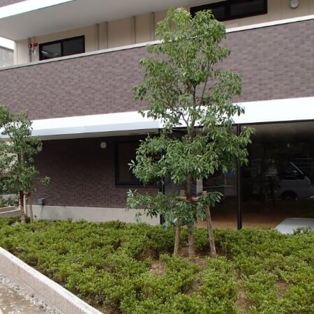 庭園