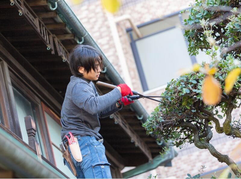 技術と成長のチャンス