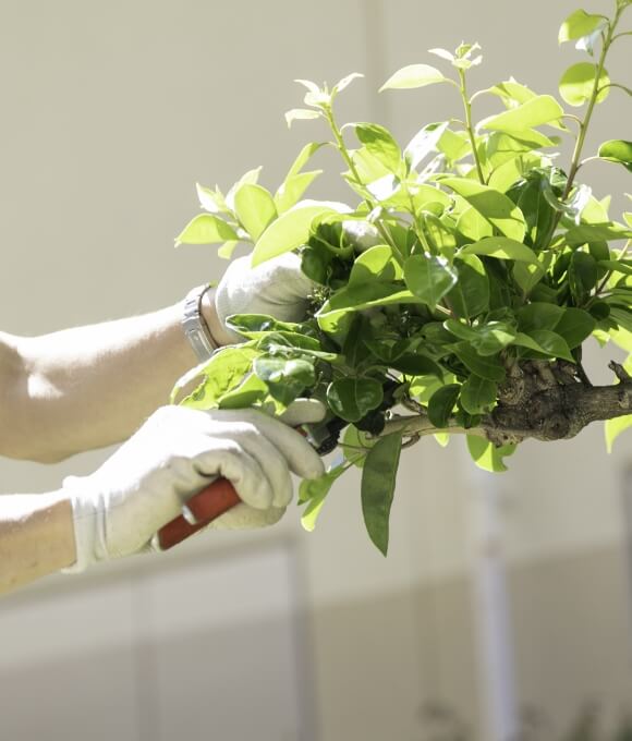 頑張りが形に残り、「ありがとう」が原動力になる仕事