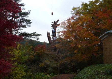 伐採・抜根工事