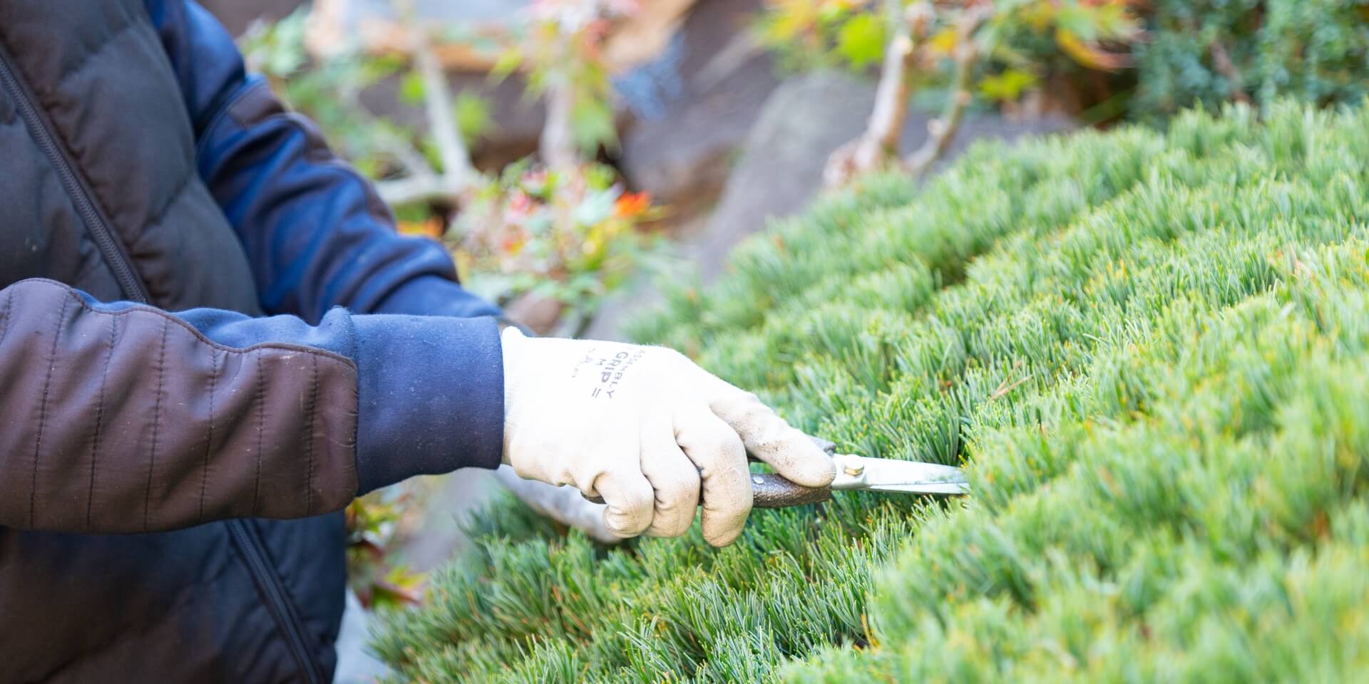 暮らしを格上げする、美しく豊かな庭のある生活を。